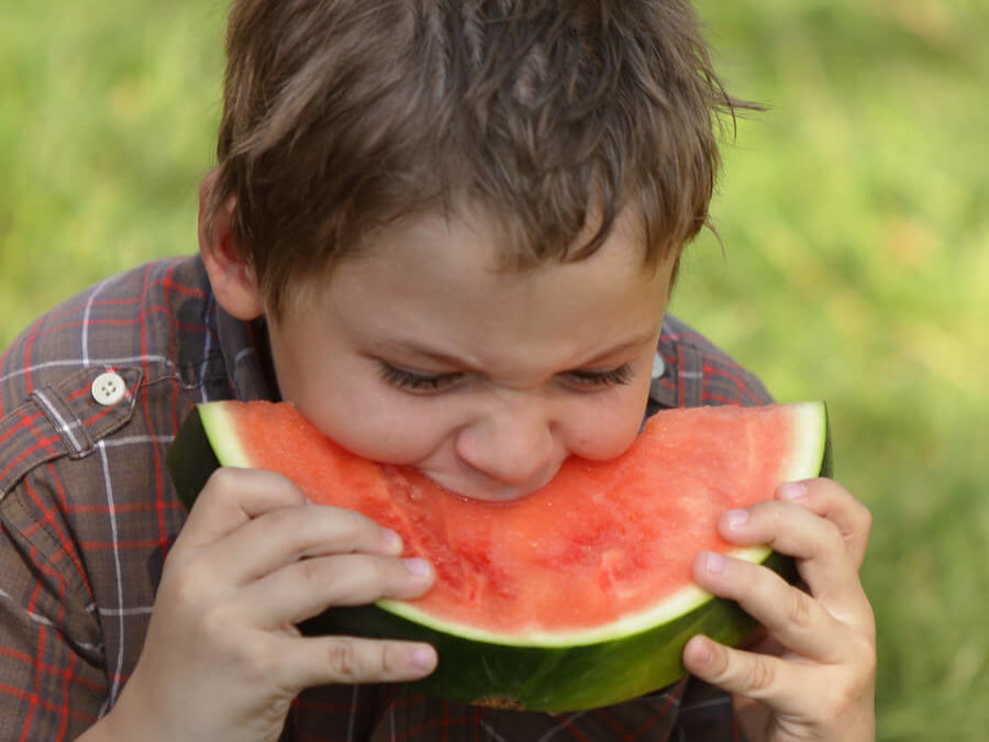 Huck Fest Bingen, Washington