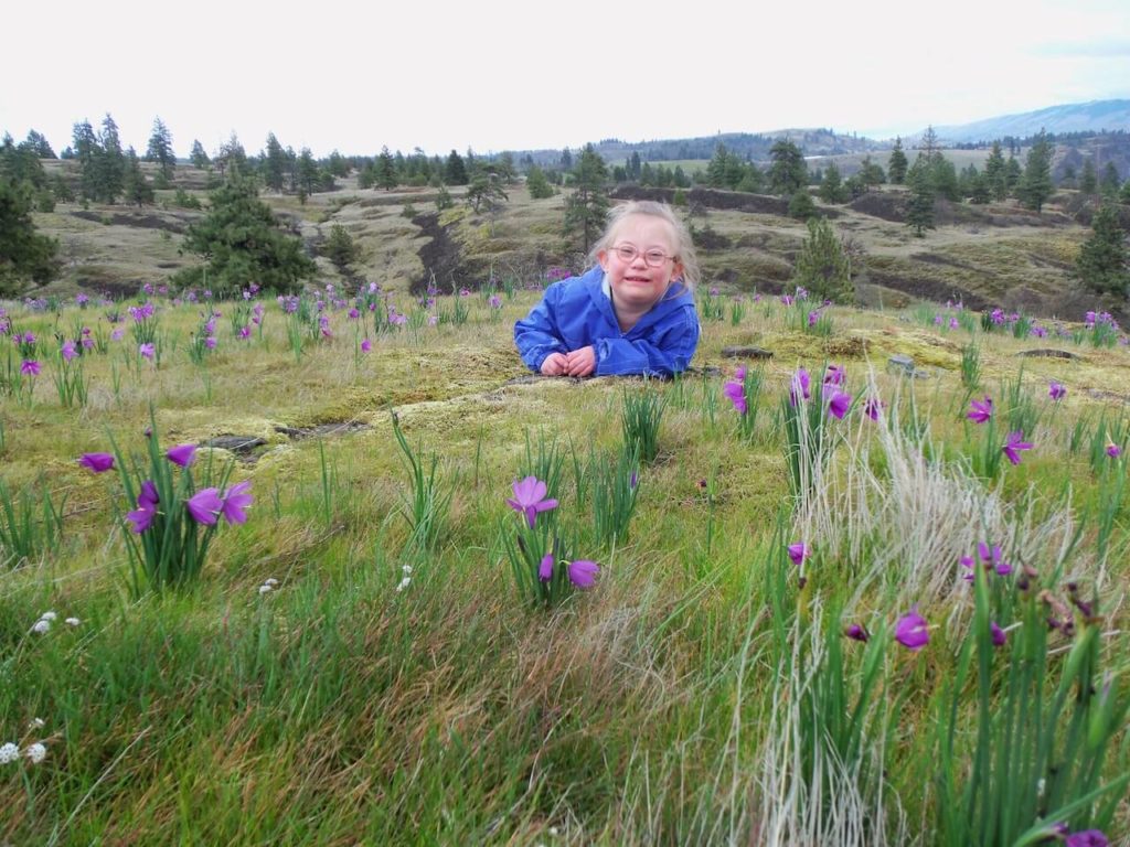 wildflowers of Catherine creek in the columbia river gorge