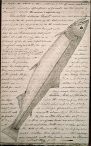 White Salmon River – How’d it get its name?