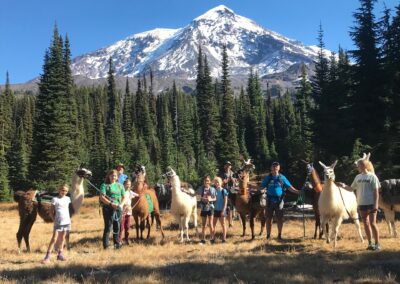 llama trekking washington state