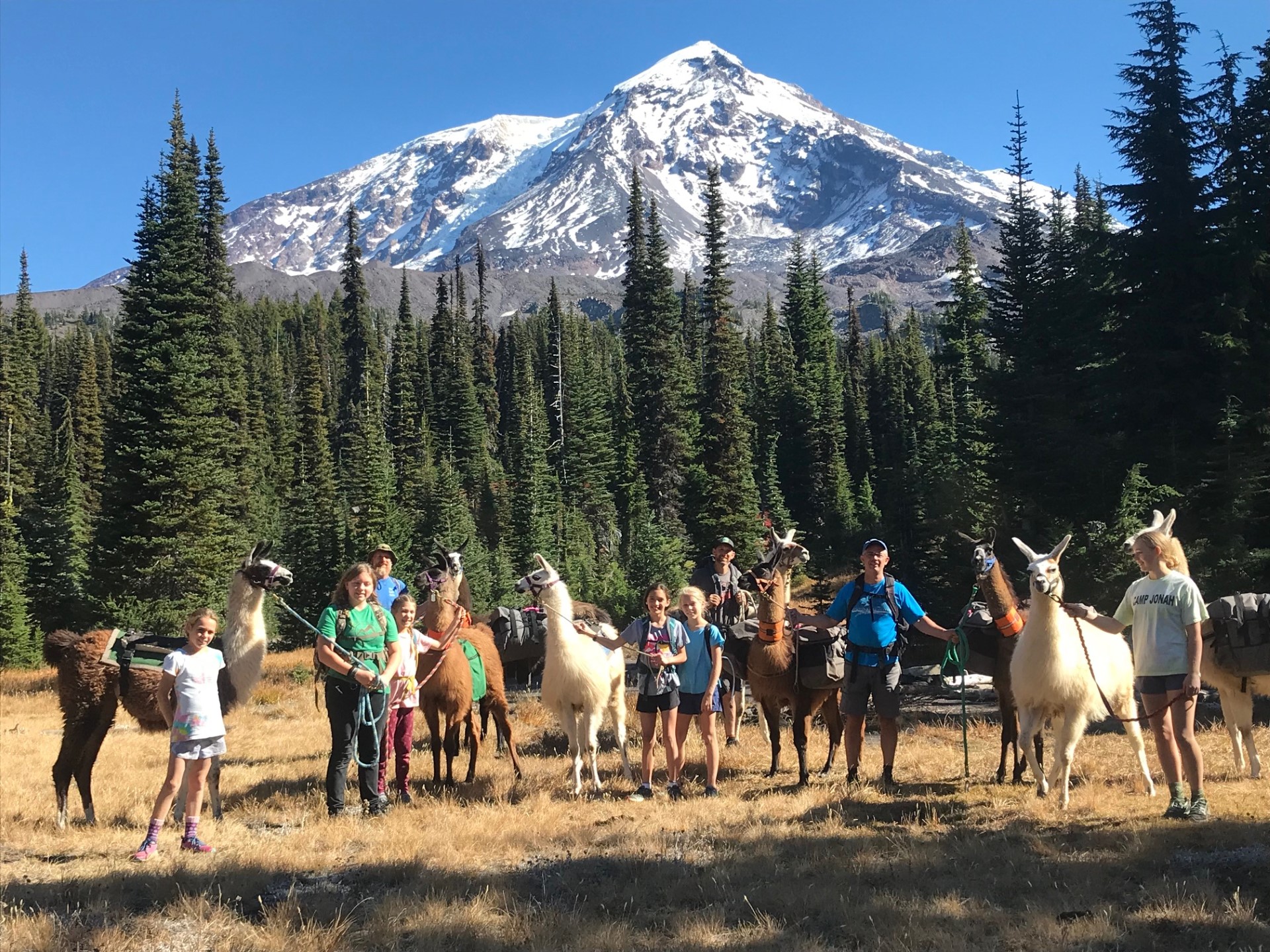 llama trekking washington state