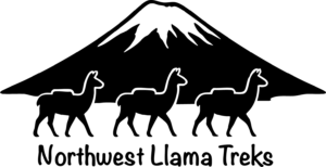 Zoller's North West Llama Treks Hikes Tours