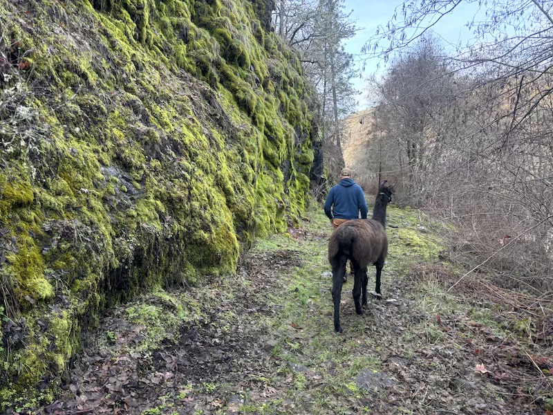 vacation activities outdoor