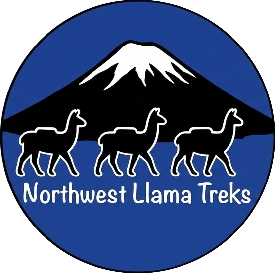 Zoller's North West Llama Treks Hikes Tours